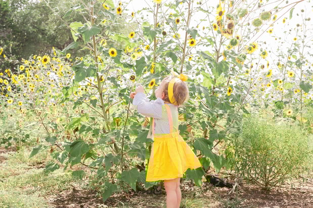 Images A Joy Story Photography