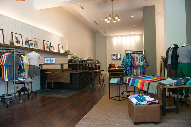 Images Bonobos
