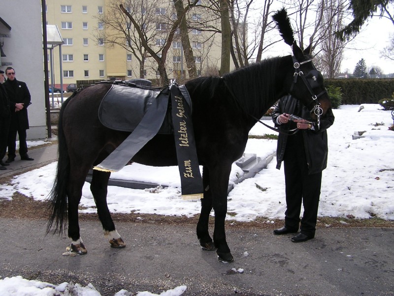 Bestattung Fuchs, Stadtplatz 5 in Klosterneuburg