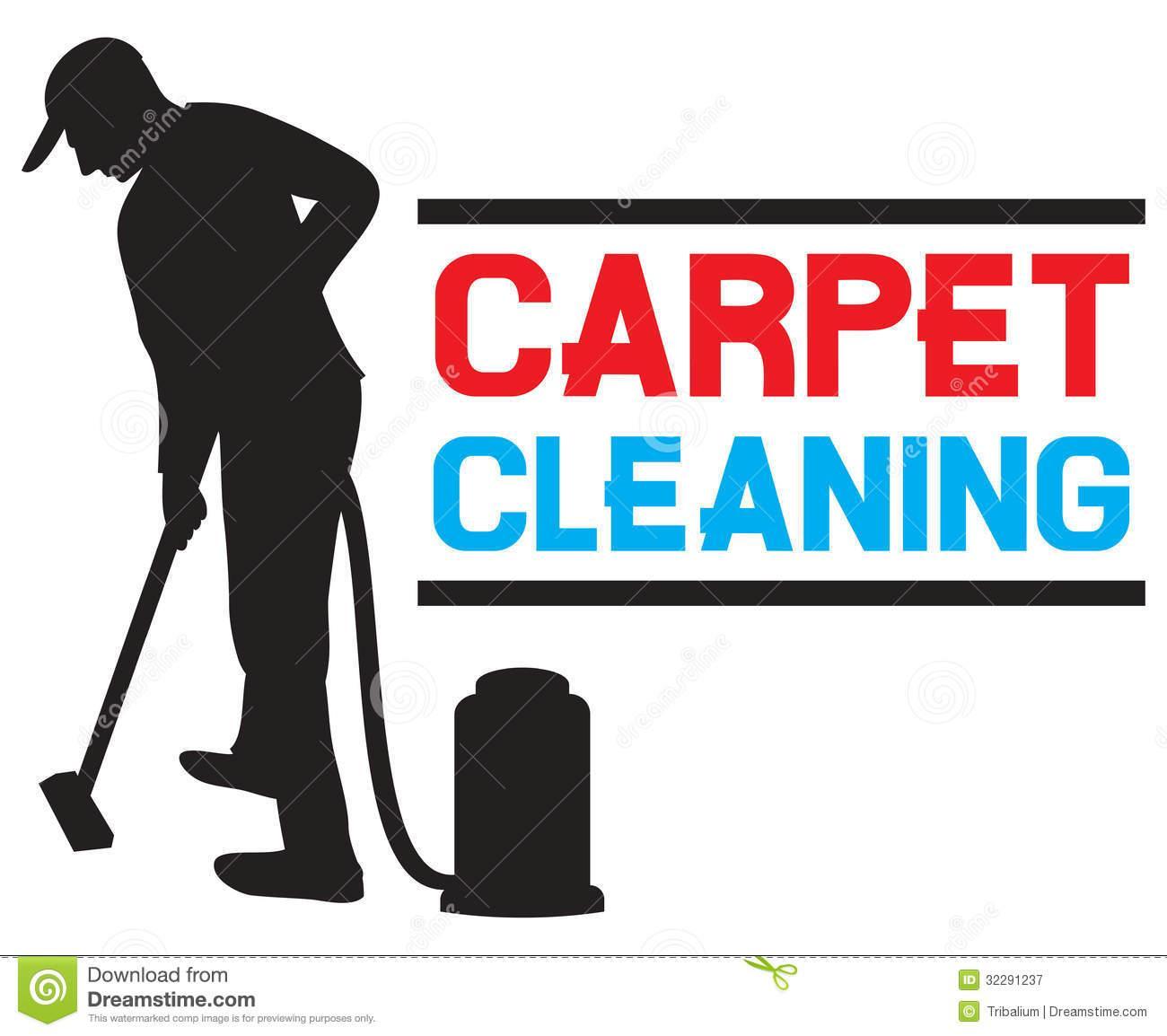 Big Bird Carpet Cleaning