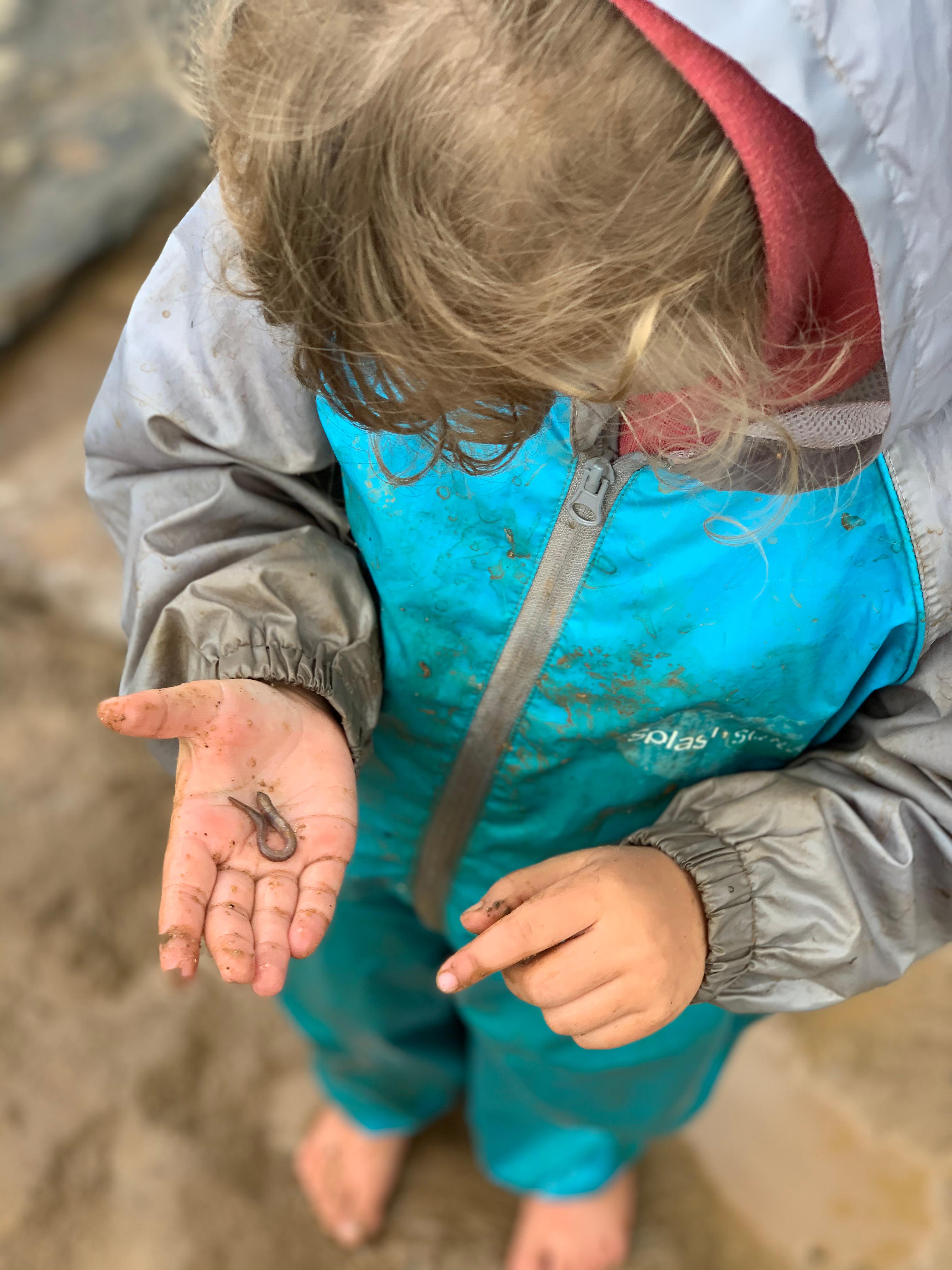 Images The Willows Preschool and Early Learning Centre