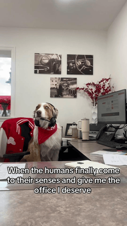 Images Koy Jasperson - State Farm Insurance Agent