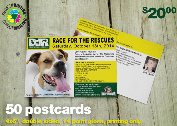 Images Seda's Printing and Direct Mailing