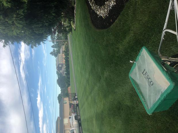 Images 4everGreen Turf Management