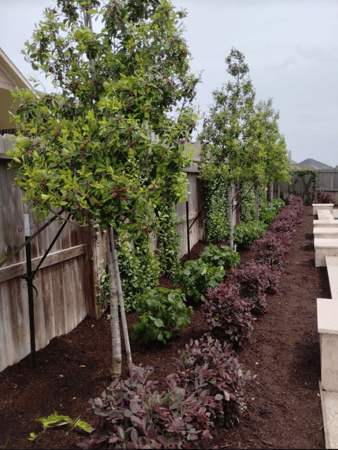 Images D&G Landscaping & Design