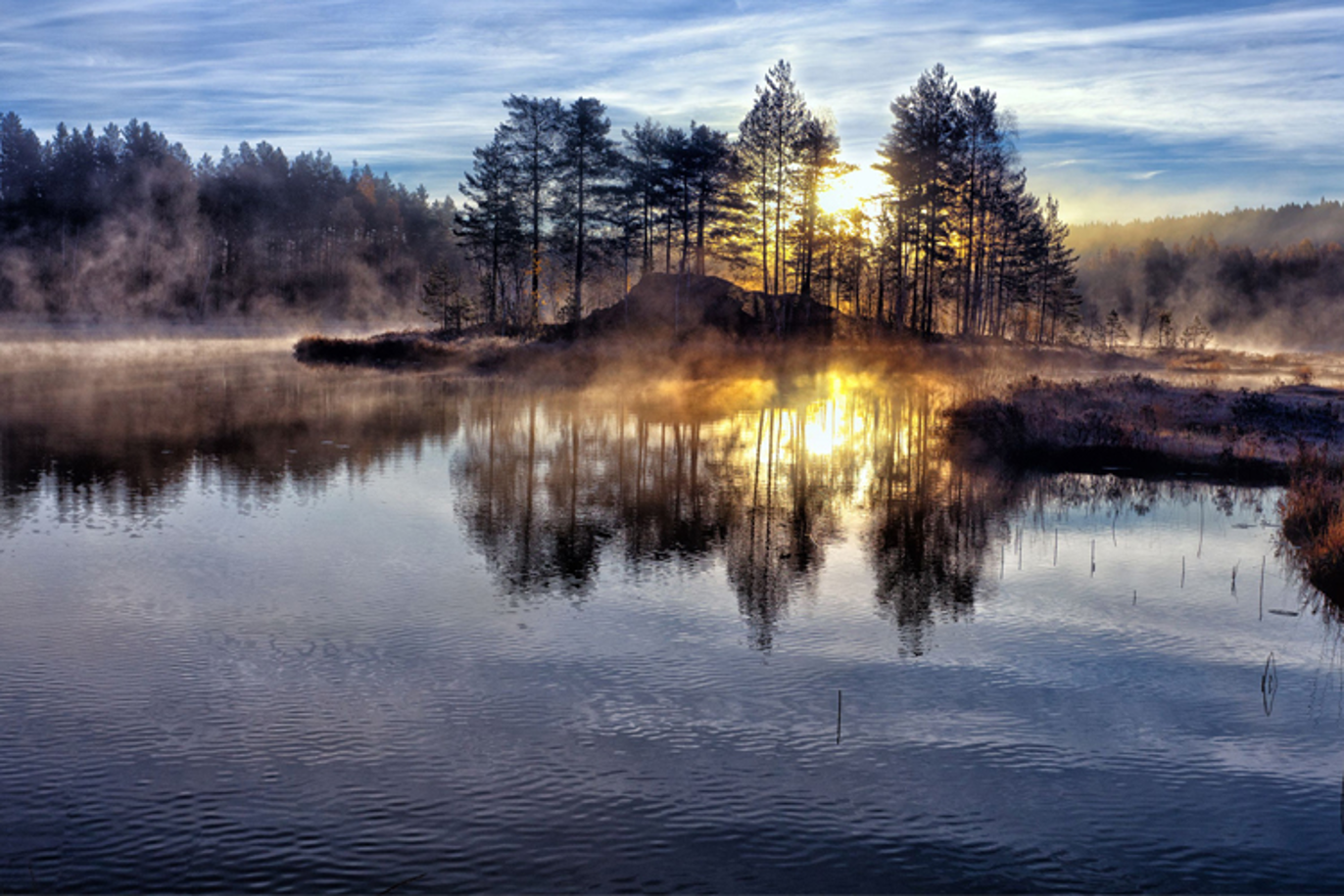 Images Rønnaug's Begravelsesbyrå