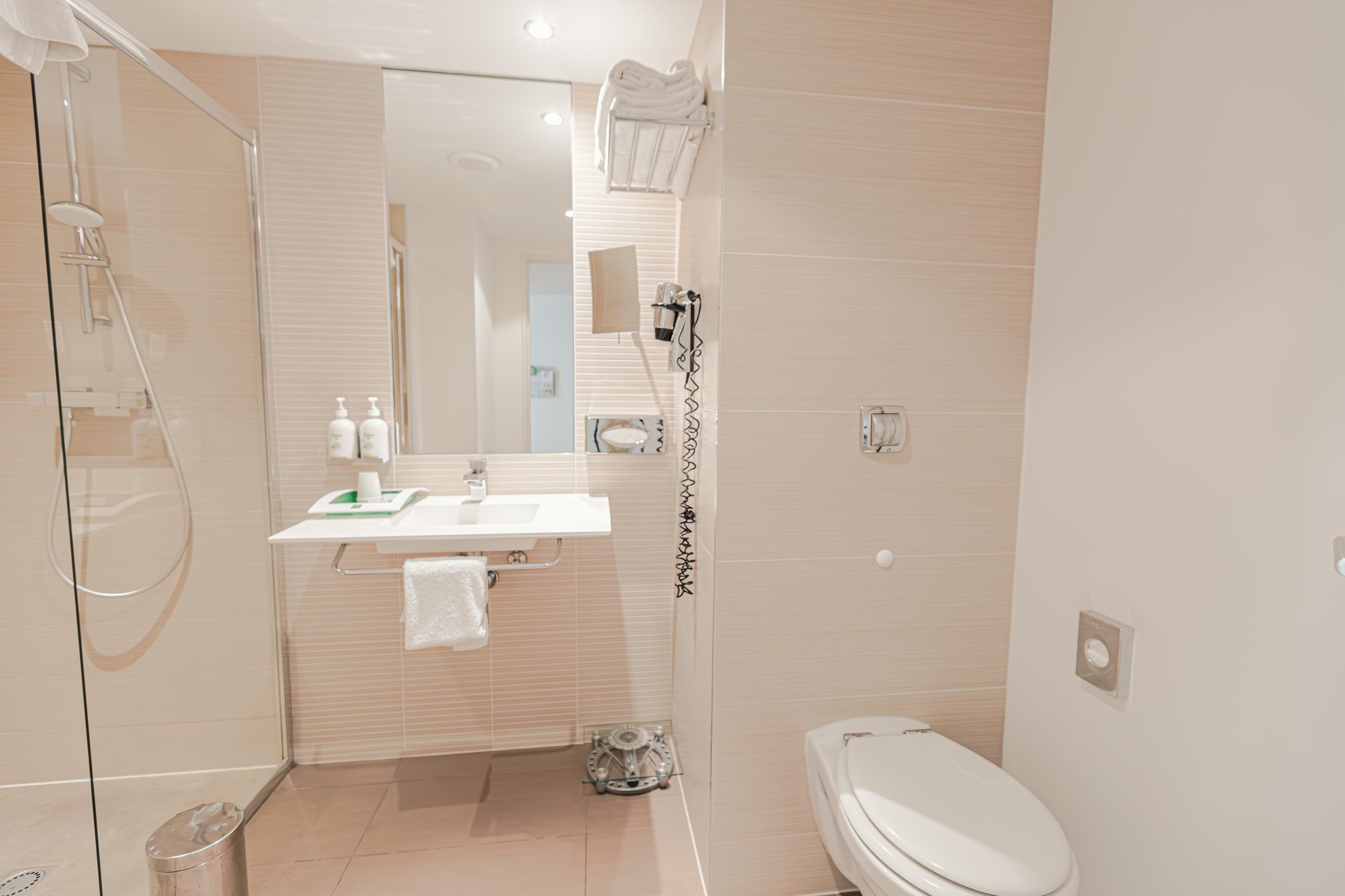 Images Holiday Inn Mulhouse by IHG