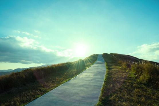 Bestattungsinstitut Heidemarie Bauer GmbH, Weißenburger Straße 59 in Gunzenhausen