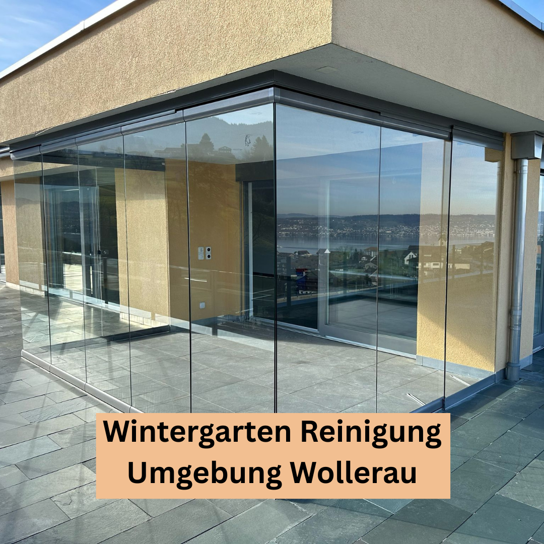 Bilder Sopa Reinigung