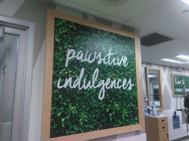 Images Petco