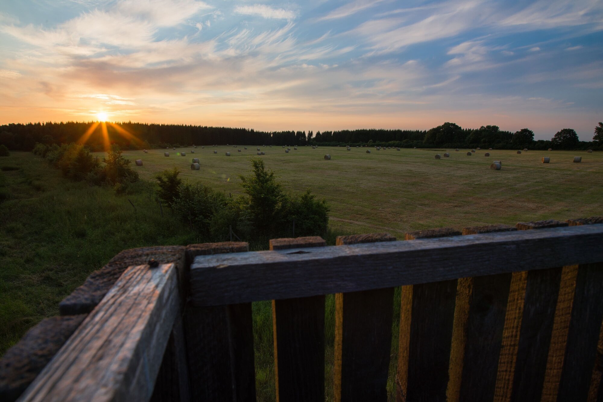 Jagdschule Schwiessel, Zum Park 25 in Prebberede