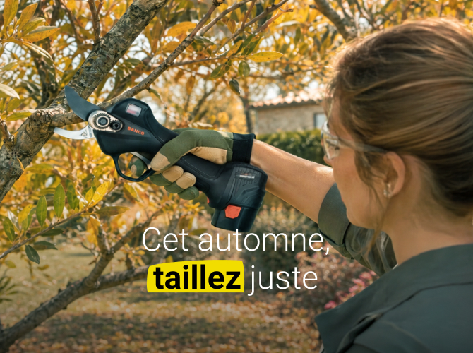Préparez votre jardin avec la taille d’automne
