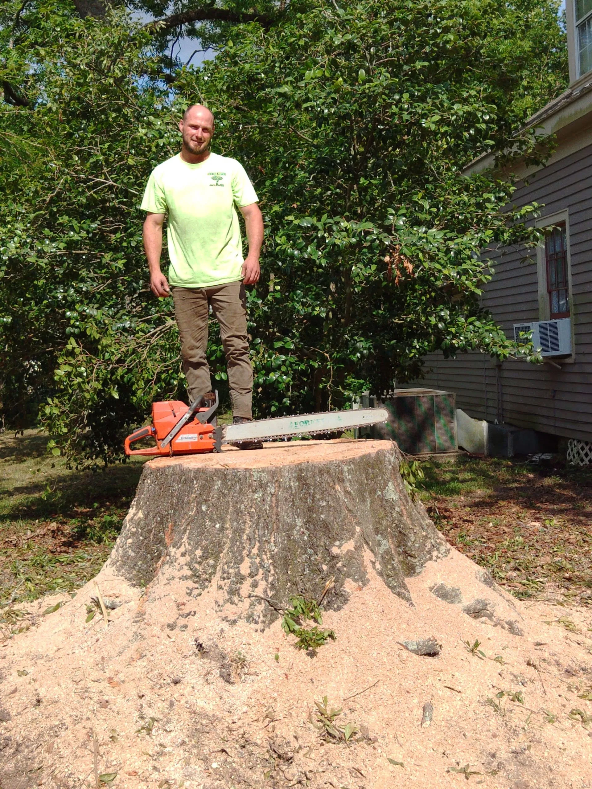 Man standing on a massive tree stump with a chainsaw, surrounded by greenery, beside a house with visible AC unit.