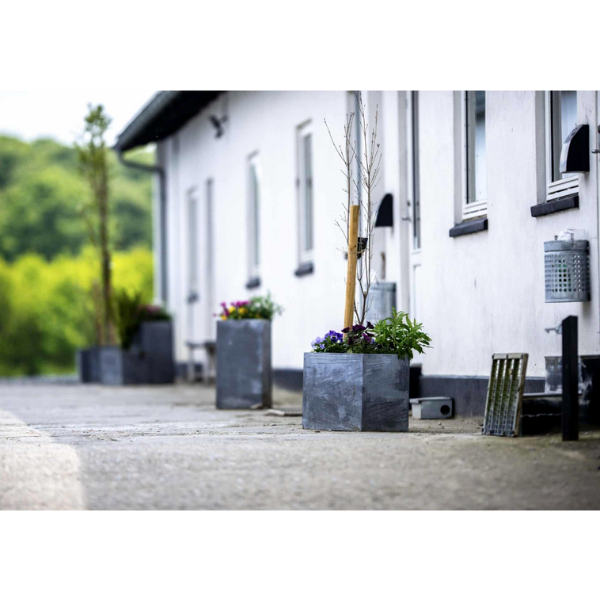 Images Den Selvejende Institution Storskoven