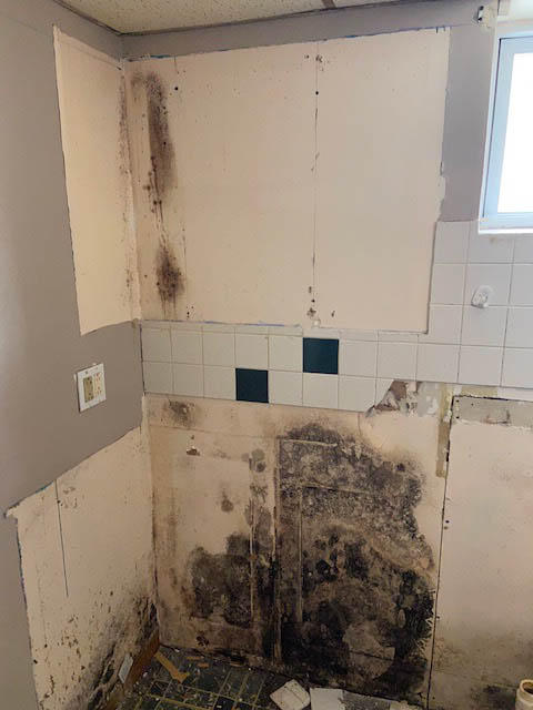 SERVPRO of Providence has a certified and experienced crew that can treat mold damage in Elmwood, RI of any size or severity. Please give us a call!