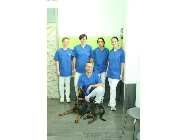 Tierarztpraxis Eggenberg Dipl-TA Greilberger Rainer, Karl-Morre-Straße 19 in Graz