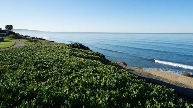 Images DoubleTree by Hilton Hotel San Diego - Del Mar