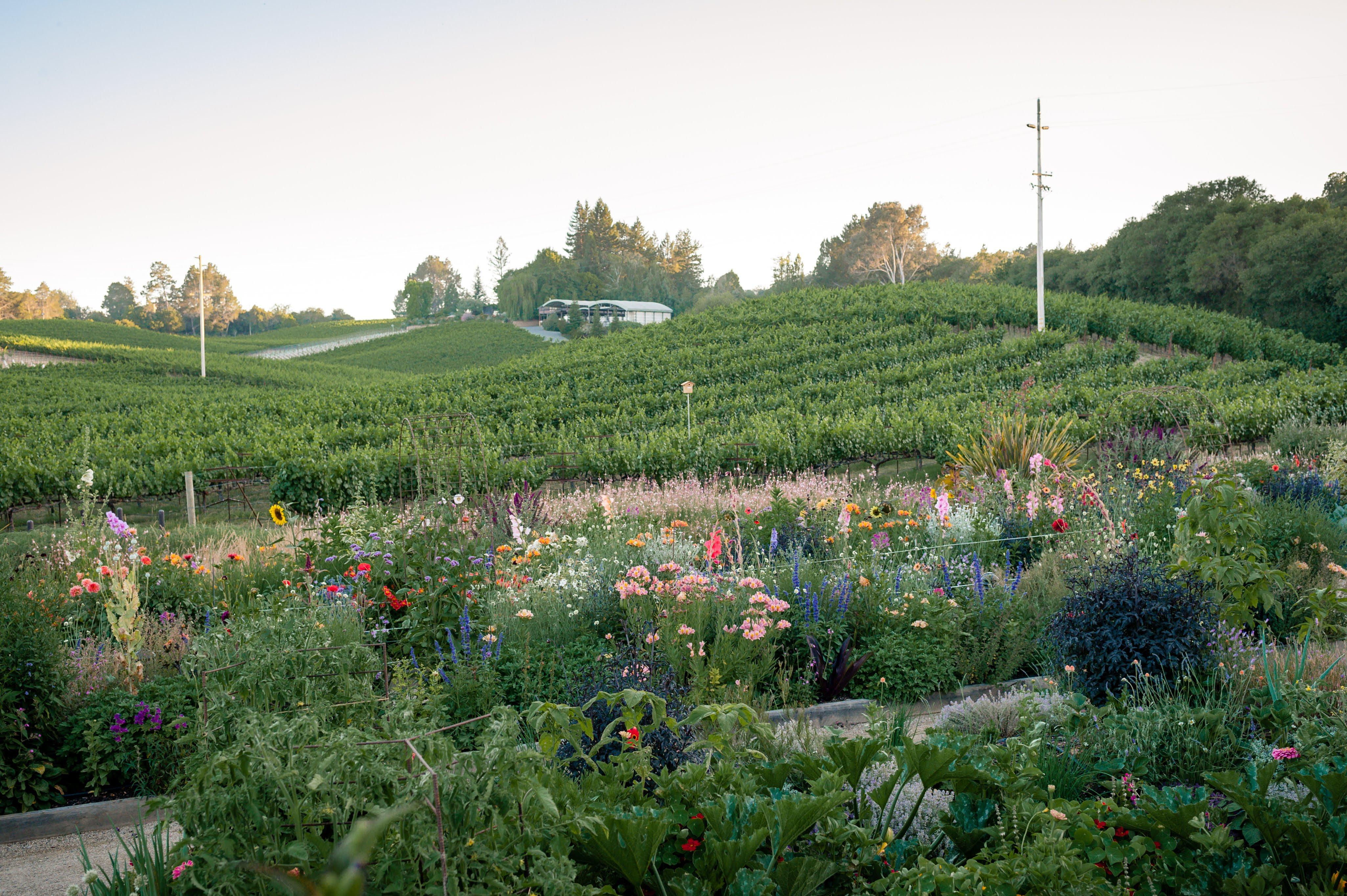 Lynmar Estate Winery