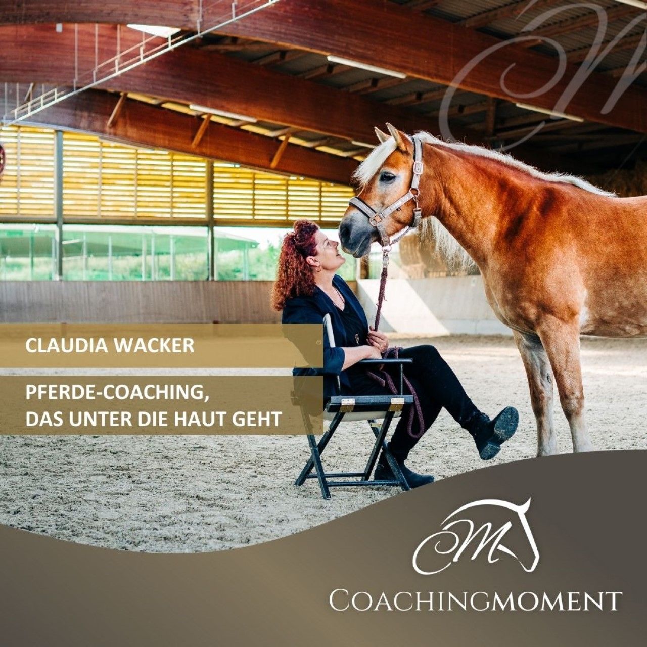 EAHAE International Association for Horse Assisted Education in Schkölen