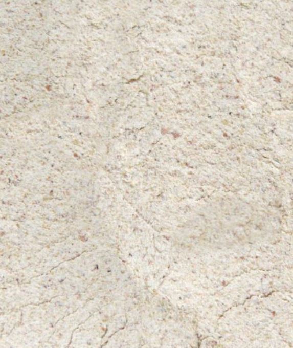 Ceresal GmbH, Am Exerzierplatz 3 in Mannheim