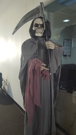 Images Acura of Bay Shore