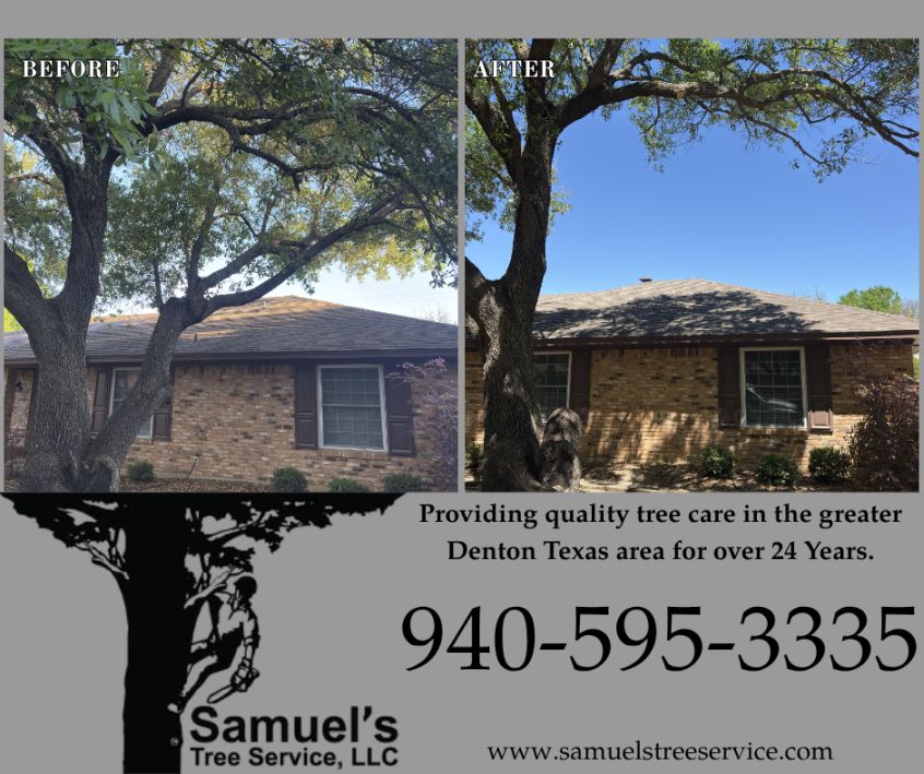 Denton Tree Trimming 