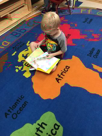 Images Teeter Toddler