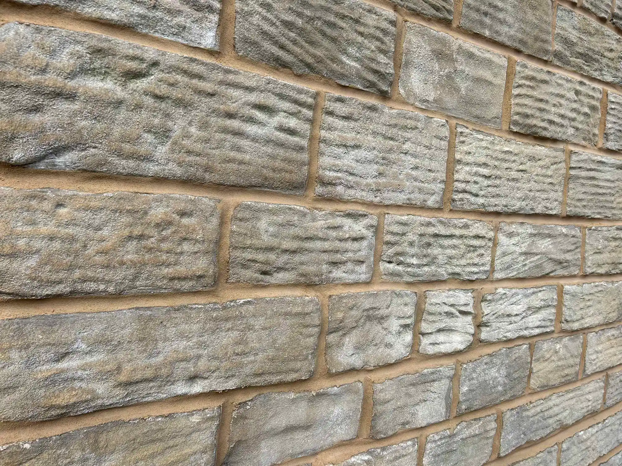 Images PND Pointing Specialists