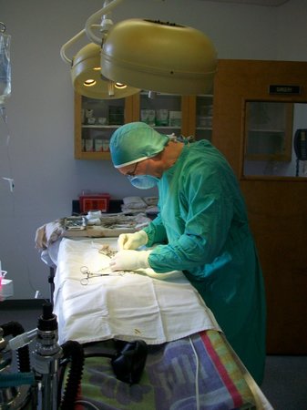 Images VCA Montgomery Road Animal Hospital