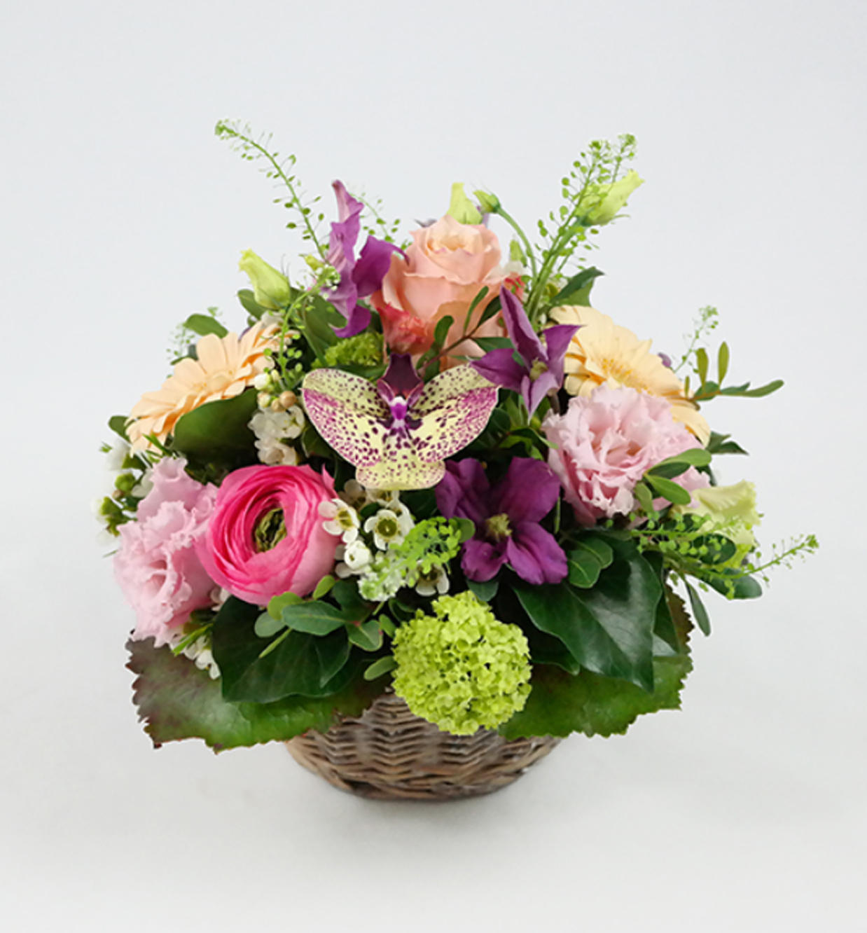 Bernhard Weissen Bluemeparadies AG, Balfrinstrasse 15 in Visp