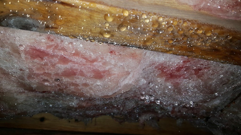 Encapsulations Down Under Image