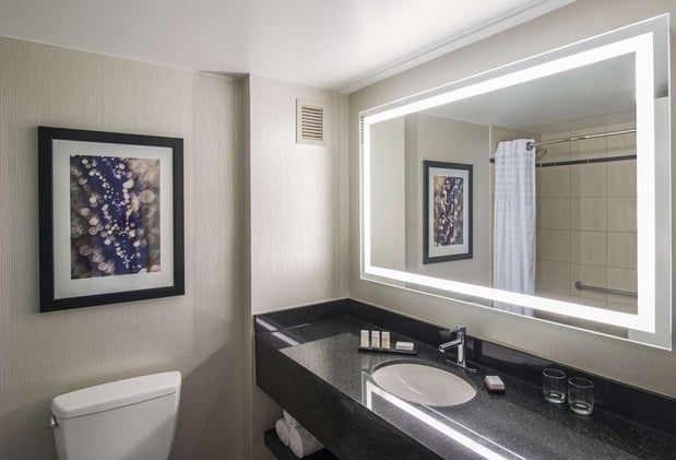 Images Embassy Suites by Hilton Chicago Downtown Magnificent Mile