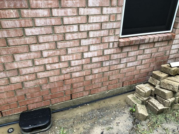 Images D2Z Surface Care