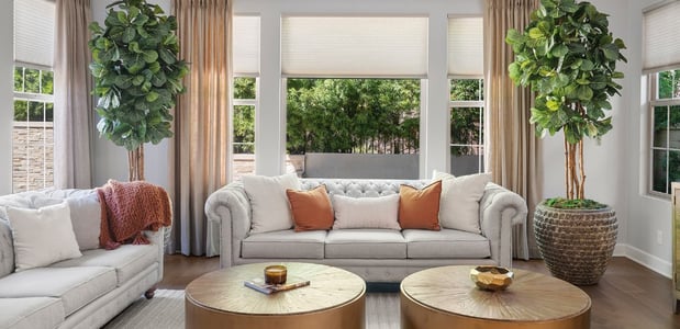 Images Budget Blinds of Winter Haven North