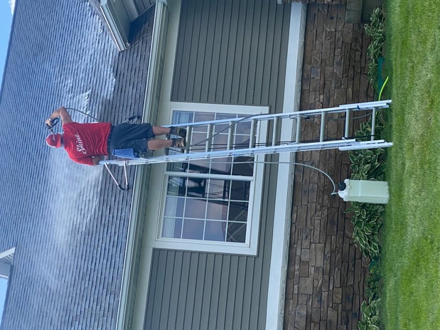 Images Shine of Charlotte