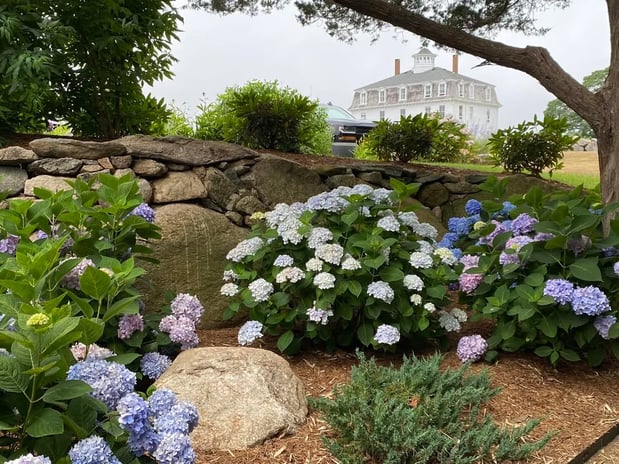 Images Coastal Gardens & Landscapes