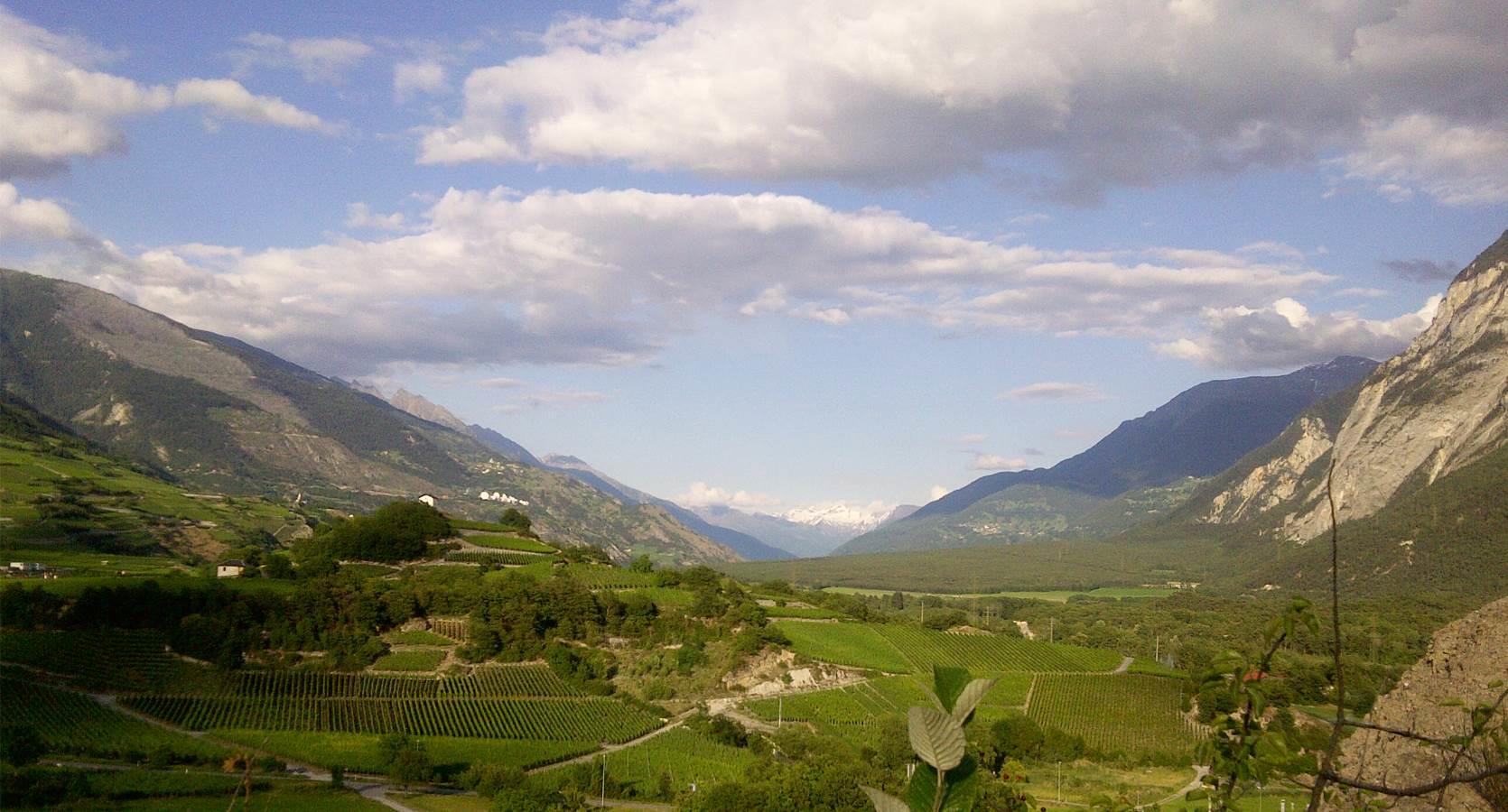 Weinservice GmbH, Kernserstrasse 3 in Sarnen