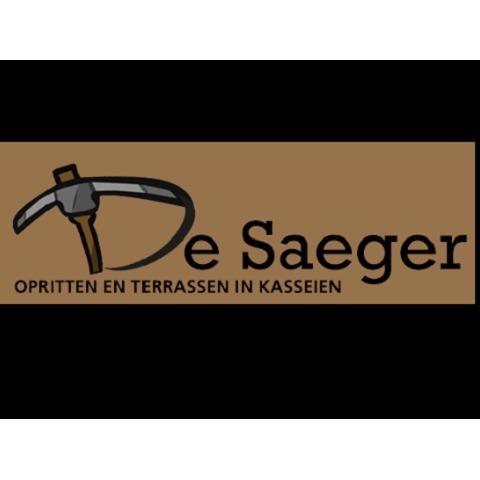 De Saeger Steven Logo