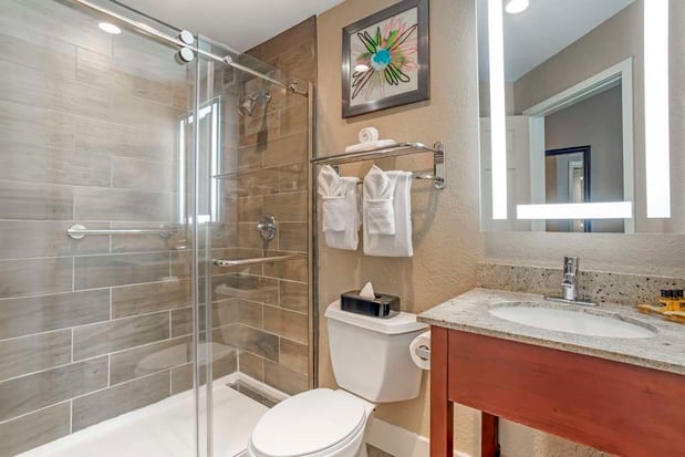 Images Best Western Plus Greenville I-385 Inn & Suites