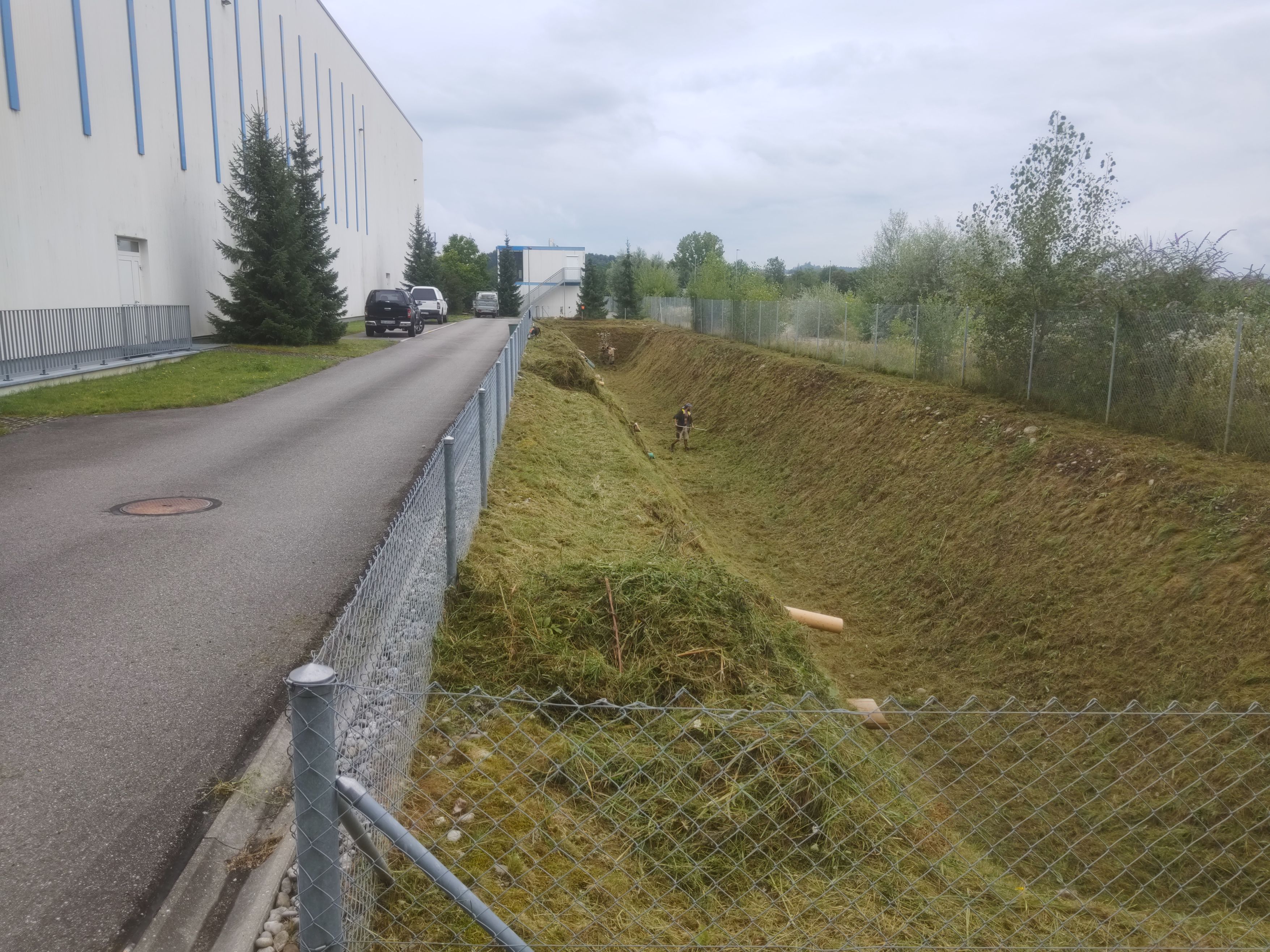 Bilder MM Gartenpflege GmbH