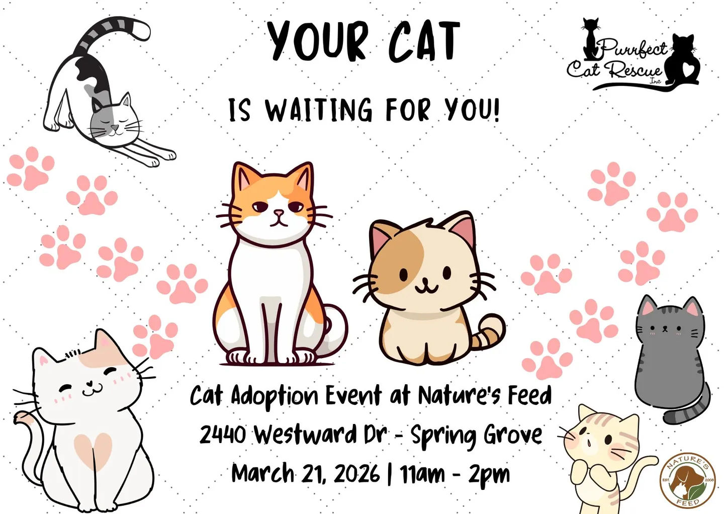 Image of Local Pet Event Cat Adoption Event Nearby