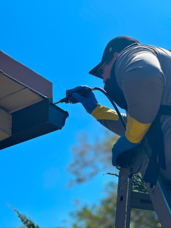 Images Crandell Pest Control