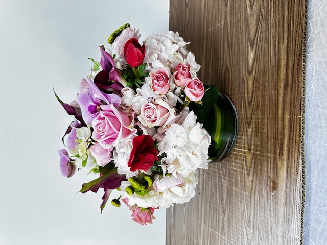Images Jane's Roses & Flowers