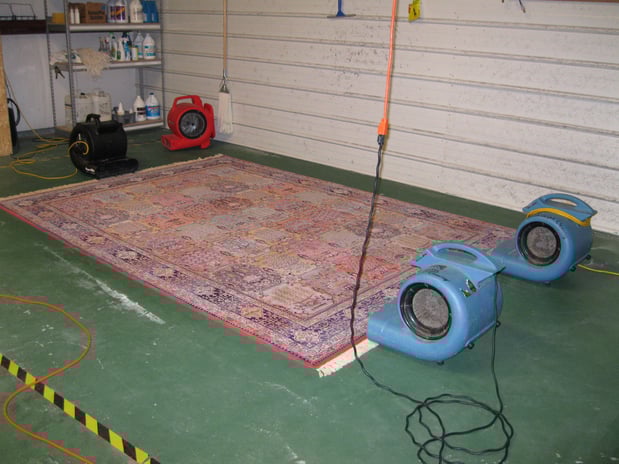 Images Carolina Carpet Cleaning of the Midlands, Inc.