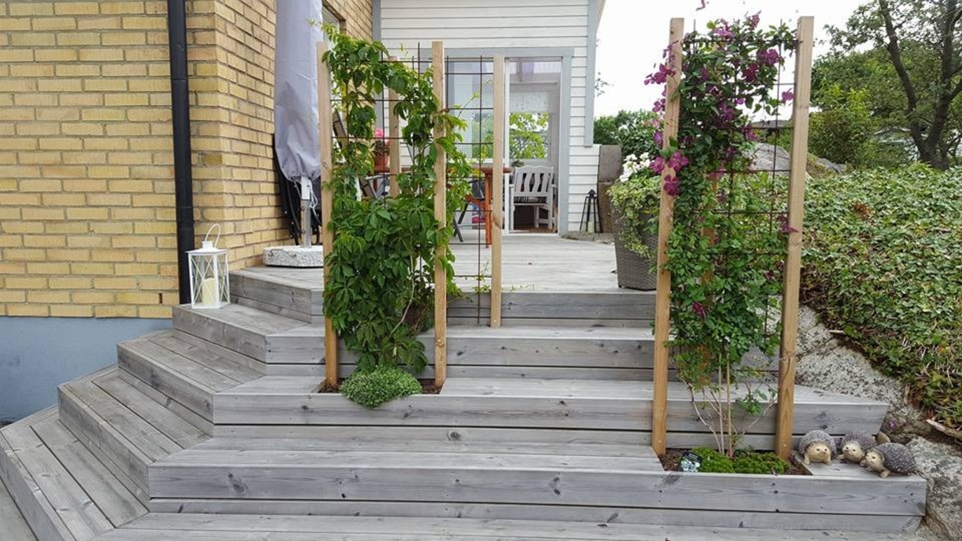 Images SÅ Klart! Trädgårdsdesign