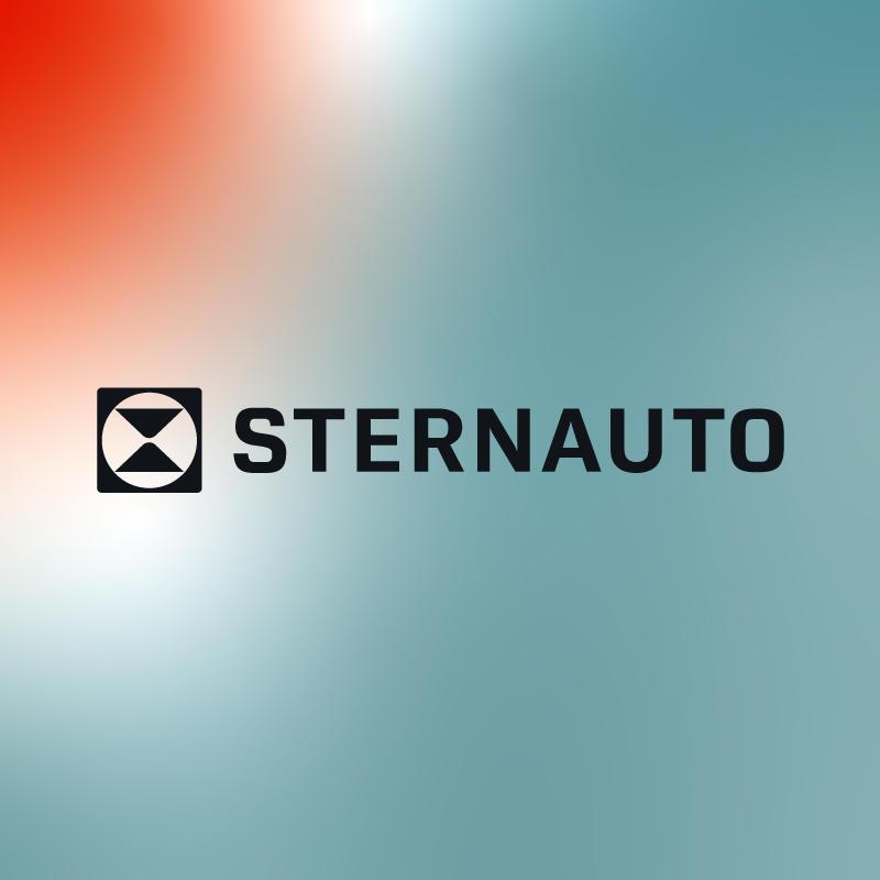 STERNAUTO in Schwerin in Mecklenburg - Logo