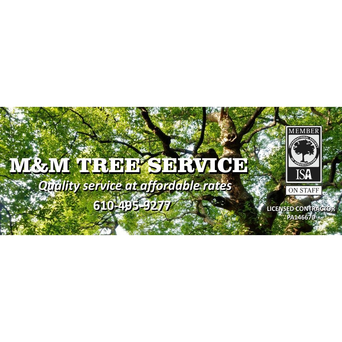 M & M Tree Service