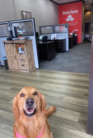 Images Margaret Hopkins - State Farm Insurance Agent