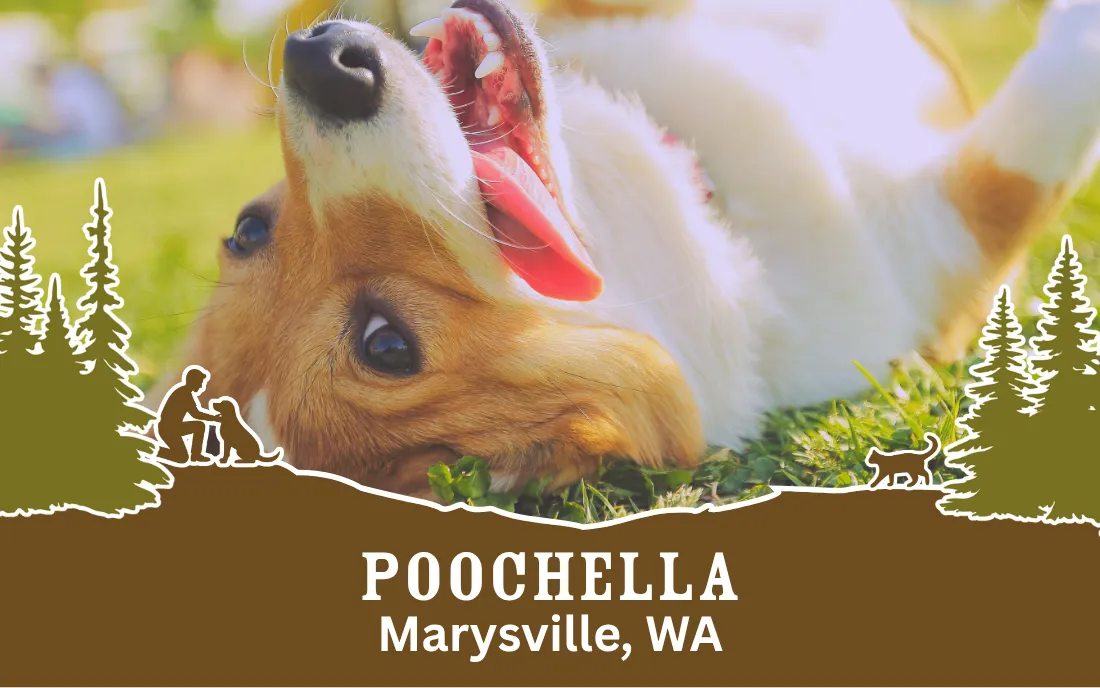 Image of Local Pet Event Sam's booth @ Poochella | Marysville, WA Nearby