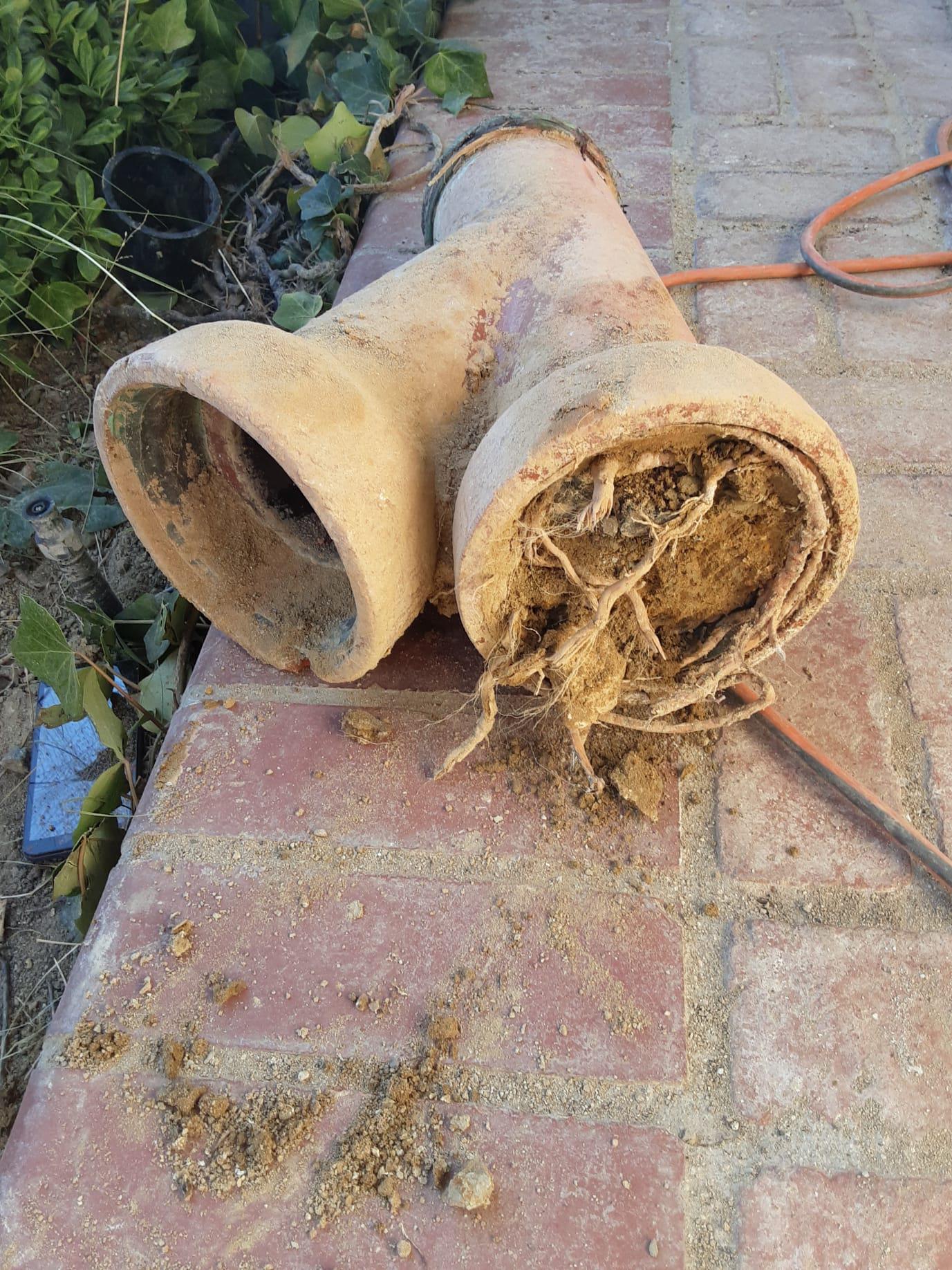 The Drain Cleaning specialists   From clogged sinks to street jobs - We do it all! Proudly serving the Los Angeles, Orange County and San Diego areas.